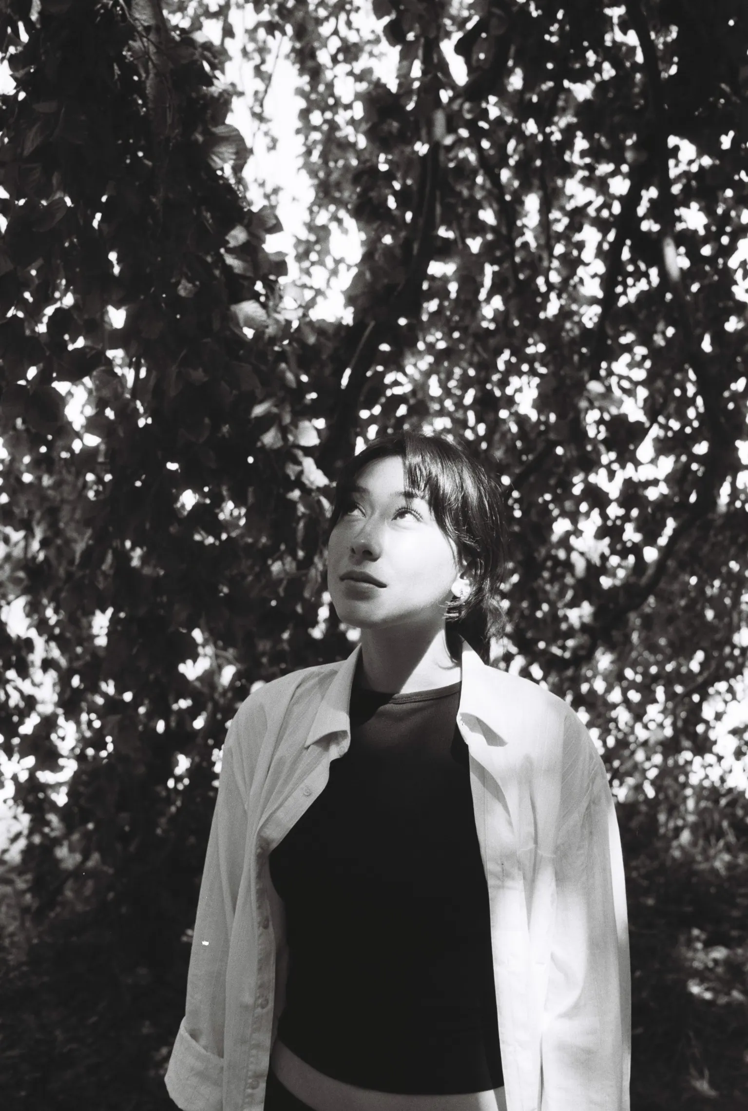 Heidi — 4