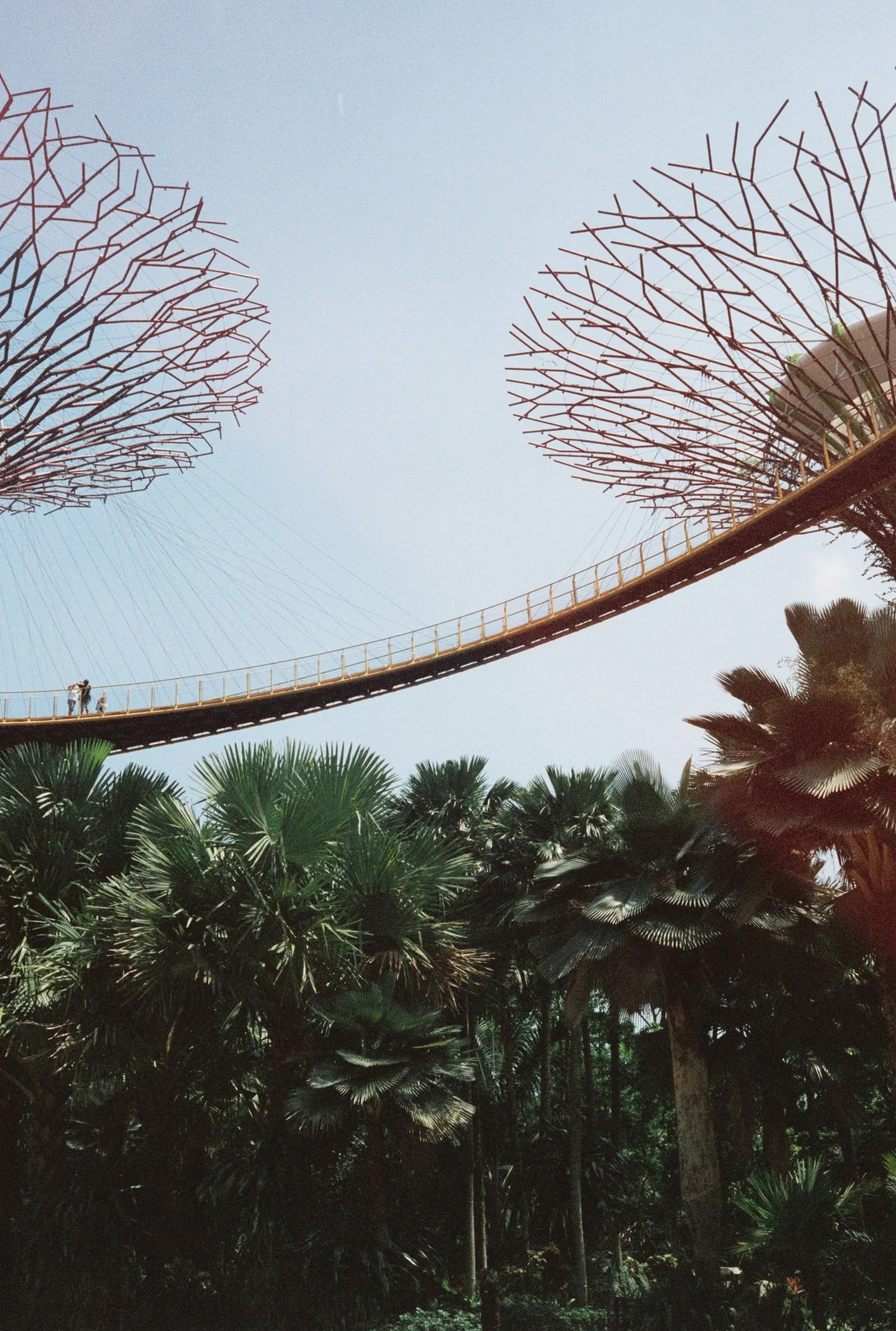 Singapur — 9