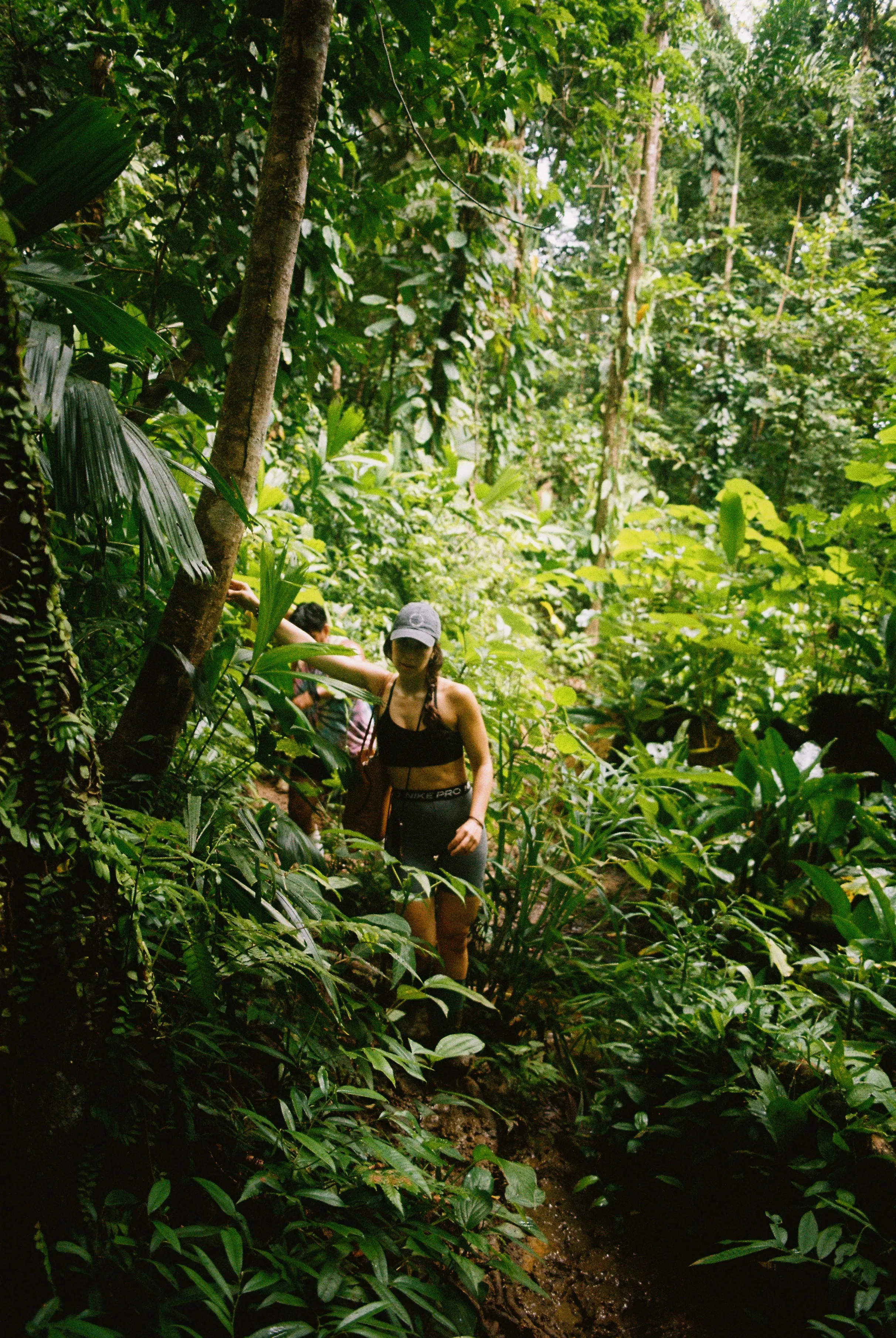 Bocas Del Toro — 8