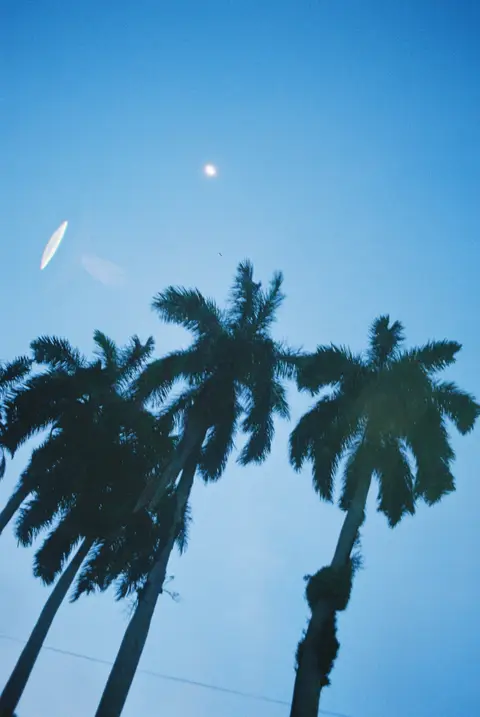 bocas-del-toro
