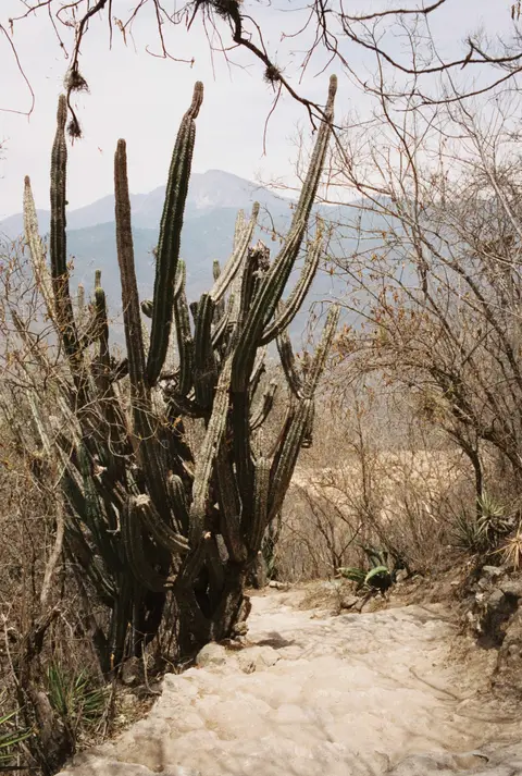 mexico